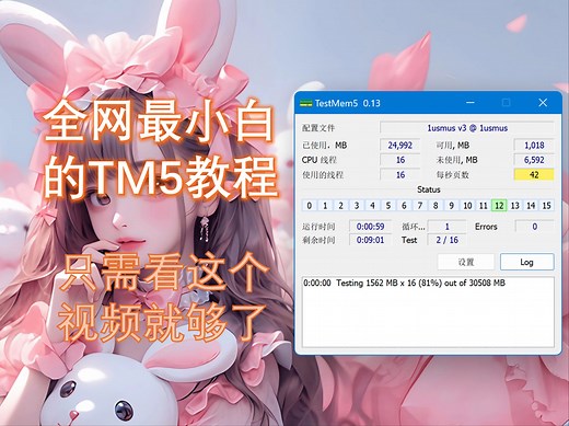 【TM5】TM5小白使用教程,全网最详细使用讲解,TestMem5v0.13小白使用讲解