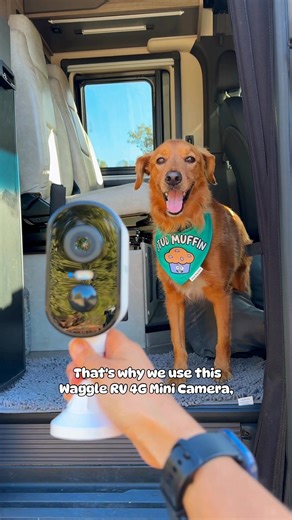 If you leave your RV🚐 alone sometimes, trust me — this 4G Mini Cam is worth it. Crystal-clear live view, motion alerts, and works even in the middle of nowhere | Waggle