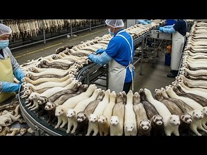 Inside the Armadillo-Shell Factory From Armor Plates to Luxury Goods (Full Process)