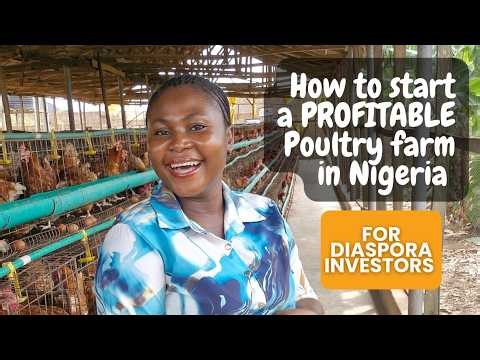 How to Start a Profitable Poultry Farm in Nigeria (For Diaspora Investors)
