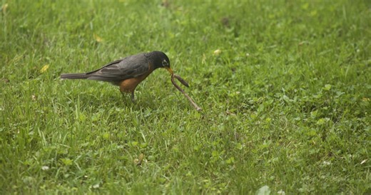 9 Really Good Reasons to Exercise Early in the Morning