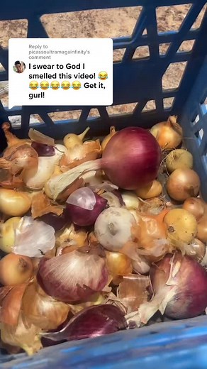 Freeze Drying Onions for Long-Term Storage | Food Preservation Tips