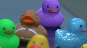 2024 Toledo Jeep Fest: What's the deal with the ducks?