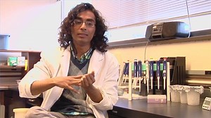 Watch How Is Genetic Engineering Performed? on Amazon Live