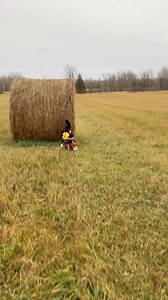 854K views · 36K reactions | Meowdy purrtners. Happy halloween!  I put a cowboy on your cowboy kitten so you can cowboy while you cowboy. Late October vibes. Jack Spicer will have to go inside and have some kitten biscuits after all this hard work. If you like the content and would like to support more being made, please consider a subscription ❤️ #cat #cats #catlover #catsofinstagram #catlovers #tuxedocat #kittycat #catlife #kitty #cats_of_instagram | Aaron Apps | Facebook