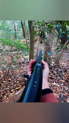 🐗 Мощный выстрел с близкого расстояния | Охота на дикого кабана #hunting #охота #wildboar #shot