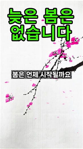 "아직 늦지 않았습니다, 매화는 가장 추울 때 핍니다" #문인화 #수묵화 #한국화 #동양미학 #사군자