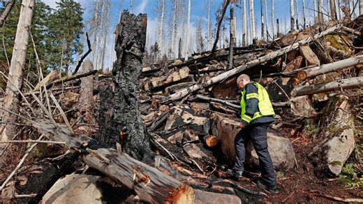 Feuerwehr vermutet Brandstiftung auf Brocken