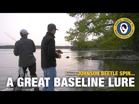 Johnson Beetle Spin...a great baseline lure to catch any fish species