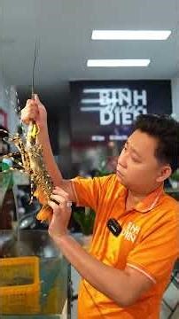 Vậy là còn mấy ngày nữa là kỷ niệm 1 năm mở cửa hàng Hải Sản Bình Điền Hunter rồi 🥰🥰🥰