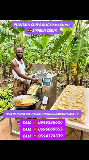 Plantain Chips Slicer Machine for Sale