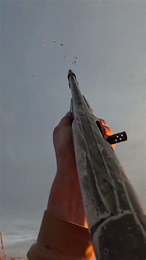 Squad wipe#hunting #goosehunting #waterfowlhunting #birdhunting #birds #waterfowl #wildlife