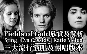 跟经典流行歌曲学英语，三个版本一定要听完：Fields of Gold，金色田野金曲，Sting，Eva Cassidy，Katie Melua三版本，歌曲赏析