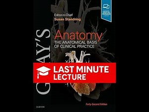 Female Reproductive System Anatomy | Chapter 75 – Gray’s Anatomy (42nd)