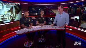 Kitten Rescue on Live Rescue 🐱🐱🐱 | A&E