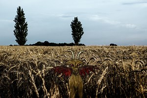 Fantastic Beasts: 20 Fairy-Tale Creatures You Can Only Find in Europe