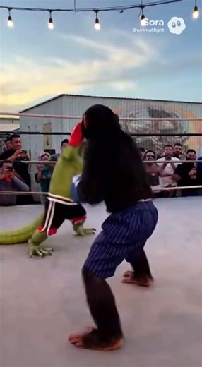 Lizard vs Monkey 🦎🐒 You Won’t Believe This Matchup #funny #tigerspotted #animals #monkey #zoo