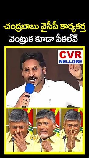 Chandrababu YCP activist's hair is also picked | Jagan Deadly Warning To CM Chandrababu
