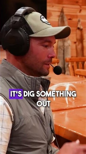 Are Pointing Dogs Truly Better Bird Dogs Than Retreivers?