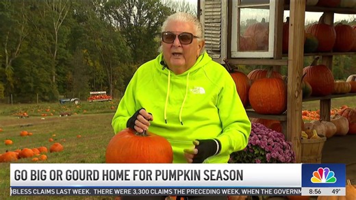 Produce Pete: Pumpkins