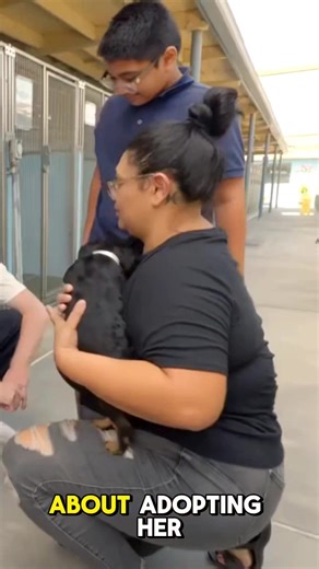 From crowded shelters to warm, loving homes — watch how 100 dogs got a second chance at life! 🐶❤️ This heartwarming rescue mission shows the power of love, care, and hope. Every dog deserves a forever home — let’s make it happen together! 👉 Support animal shelters 👉 Adopt, don’t shop 👉 Share this video to spread awareness #DogRescue #AdoptDontShop #RescueDogs #ForeverHome #AnimalRescue #SavingLives #DogsOfFacebook #HopeForDogs #HappyTails #TrendingVideo | BestClips