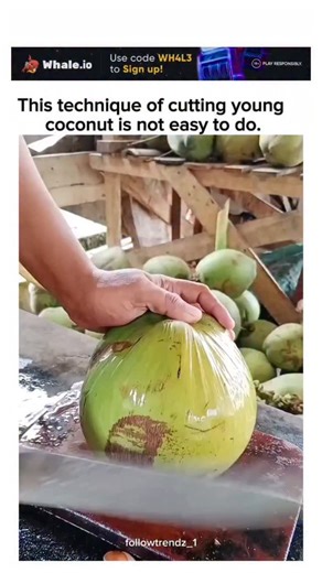 TrendsOnly on Instagram: "The post showcases a skilful video of a market vendor using a machete to score a circular groove around a young coconut's husk, cleanly removing the top to access the hydrating water and tender flesh inside, captioned to note the technique's difficulty. It has rapidly gone viral, amassing over 750,000 views and hundreds of likes within 24 hours, with replies predominantly in Indonesian expressing envy for the refreshing treat and intent to try it themselves. Young cocon