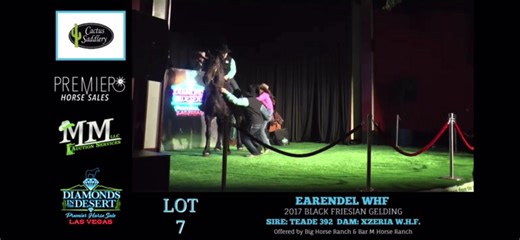 39 reactions | In case you missed it, here’s our RESERVE HIGH SELLER EARENDEL WHF ••Offered by Big Horse Ranch Bar M Horse Ranch•• Big Horse Ranch Sold for $70,000 Watch full video of 2022 Diamonds In The Desert here⚡️ https://m.youtube.com/watch?v=iiY9jlmujnQ&t=9124s #BePremier #PremierHorseSales | Premier Horse Sales | Facebook