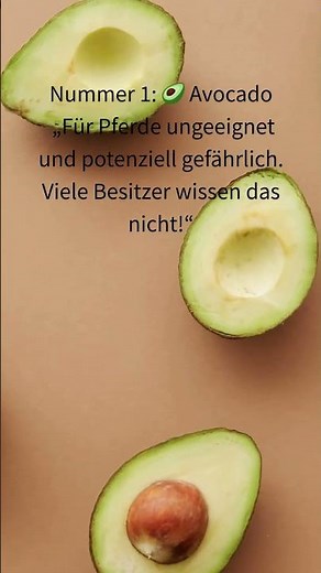 „3 Dinge, die du deinem Pferd NIE füttern solltest 😳🐎“