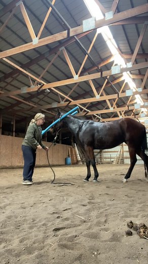 I Am Dr. Groot (@iamdrgroot)’s videos with original sound - I Am Dr. Groot