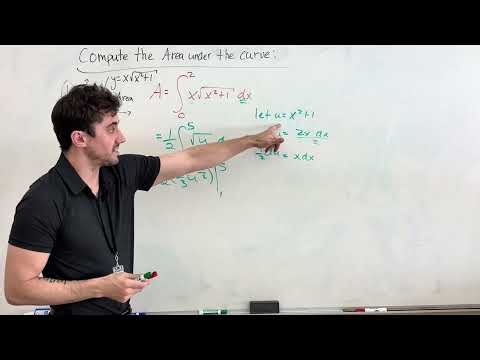 Calculus 12 - Area under the Curve 1