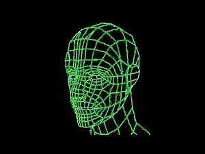 VJ Loop video. 3d grid human head. Head of the person from a 3d Grid. Human head wire 3D animation.