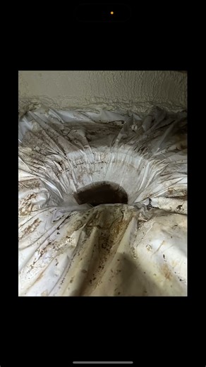 This brand new home failed the initial inspection for water intrusion and mold! #moldremediation