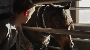 Adeline (2022) Lektor PL