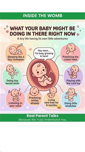 Inside the Womb: What is Your Baby Doing Right Now?