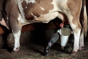 Dairy farmers welcome farm bill's subsidy overhaul