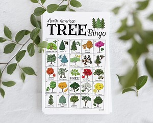 Tree Bingo - 50 PRINTABLE, Unique Bingo Cards. Instant Digital Download. Arbor or Earth Day Activity Idea. North American Native Species. - Etsy