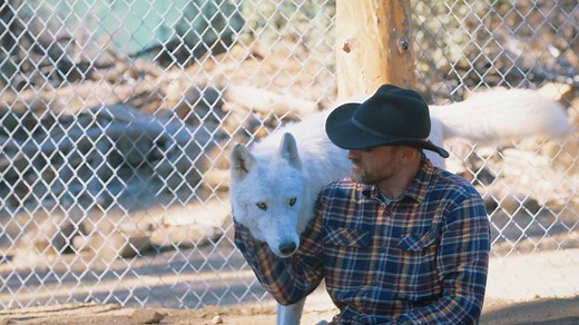 "They teach you how to be calm and confident." At the Lockwood Animal Rescue Center, the Warriors and Wolves project helps veterans adjust to life in the pack again. This Great Big Story was made possible by Wells Fargo. | Great Big Story
