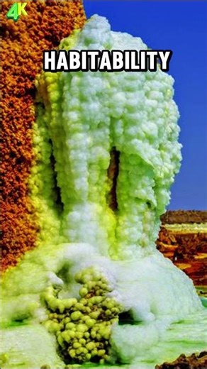 Would You Survive Here?