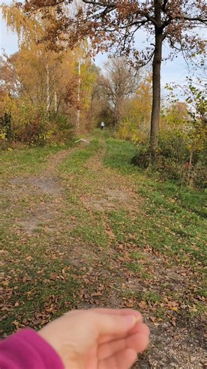 5.5K views · 235 reactions | Ab und zu machen wir noch...