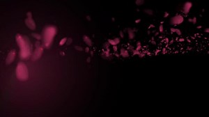 Download a pink background with many pink flowers for free