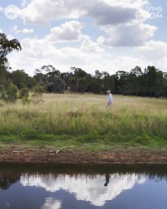 28K views · 1K reactions | Dogs really make the world spin a little brighter. #TheLivingRoom | The Living Room | Facebook