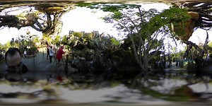 26K views · 310 reactions | 360 tour of Pandora at Walt Disney World Animal Kingdom! Move your phone to look around! Filmed with 360fly camera. | Theme Park Review | Facebook