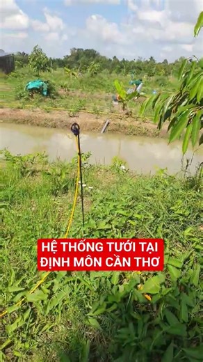 HỆ THỐNG TƯỚI TẠI ĐỊNH MÔN CẦN THƠ #béc_thp #cách_phát_cỏ_không_bị_đứt_dây_pe #hethongtuoitieu