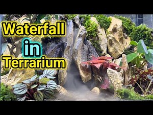 I made terrarium with mini waterfall, here’s how 💥💧💧🌊