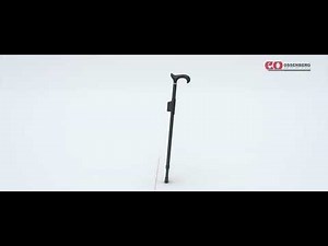 PARKINSON-Stock Ossenberg DE