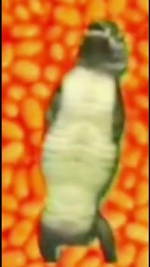 Lizard dancing to happy birthday song meme