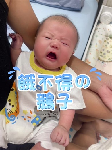 餓不🍼小幼崽的日常育兒分享