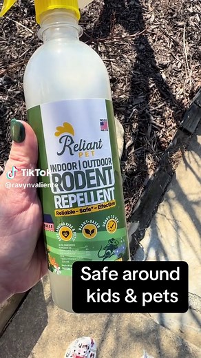 I thought my plant was dying… but the real problem was rodents digging in the soil. 🌱 This peppermint oil rodent repellent helps keep mice and rats away using a scent they naturally hate—without harsh chemicals. I started using it around my plant shelves and corners and the difference was immediate. If you’re dealing with pests in your home or around plants, this might help. Save this for later and click the link below to grab yours before it sells out. ⸻ #R#RodentRepellentN#NaturalPestControlH