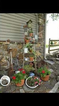 Luxury Backyard Landscaping Ideas
