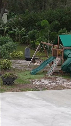 Mom and dad find out their playground at home is haunted... #shorts